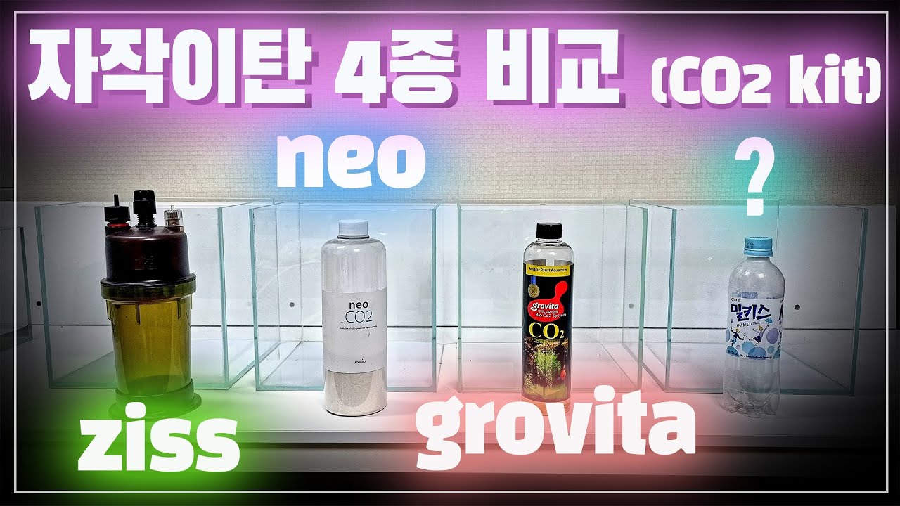 자작이탄 (Co2 Kit) 4종 비교~  네오co2, 지스 co2, 그로비타 co2, 살탕이스트co2, neo co2, ziss co2, grovita co2,수초키우기