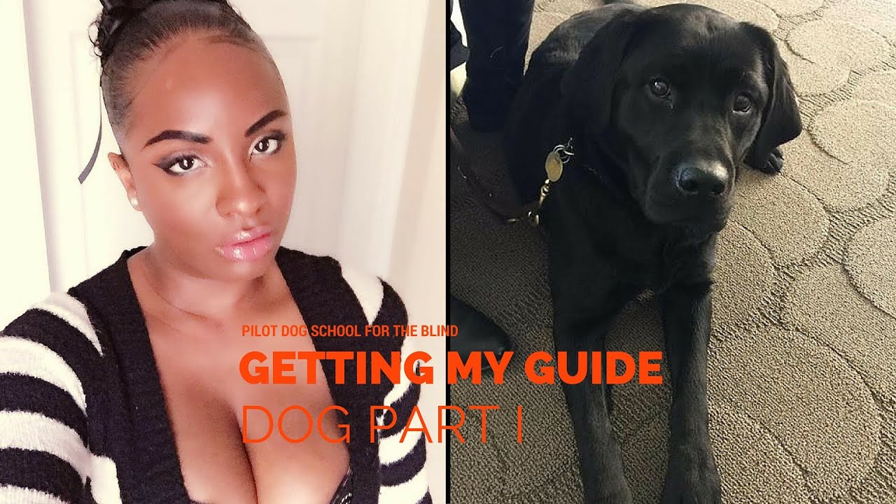 Pilot Dog School for the Blind: Getting my guide dog Part I