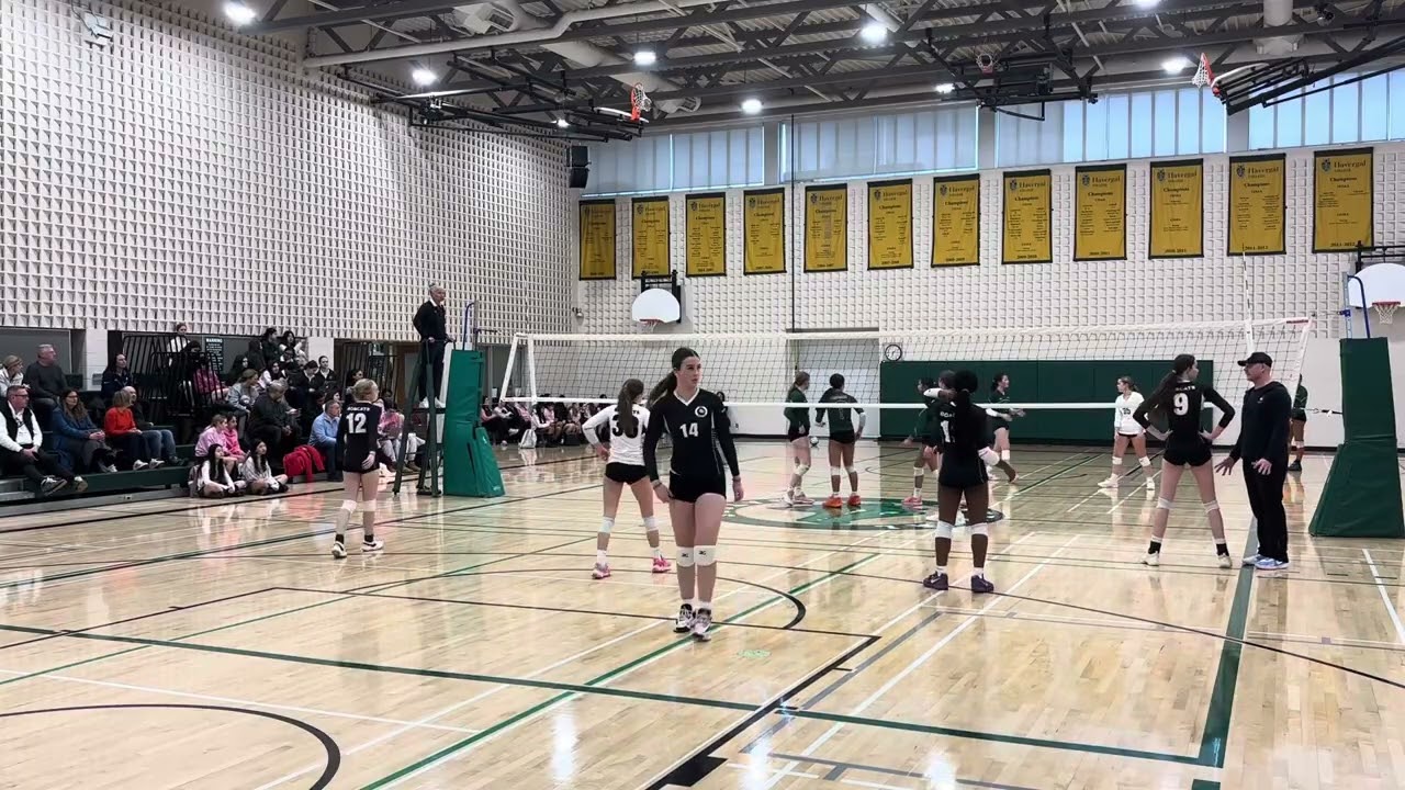 BSS v HC (set 2)
