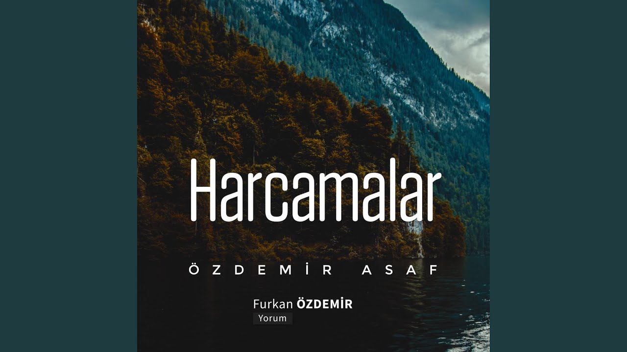 &Ouml;zdemir Asaf - Harcamalar