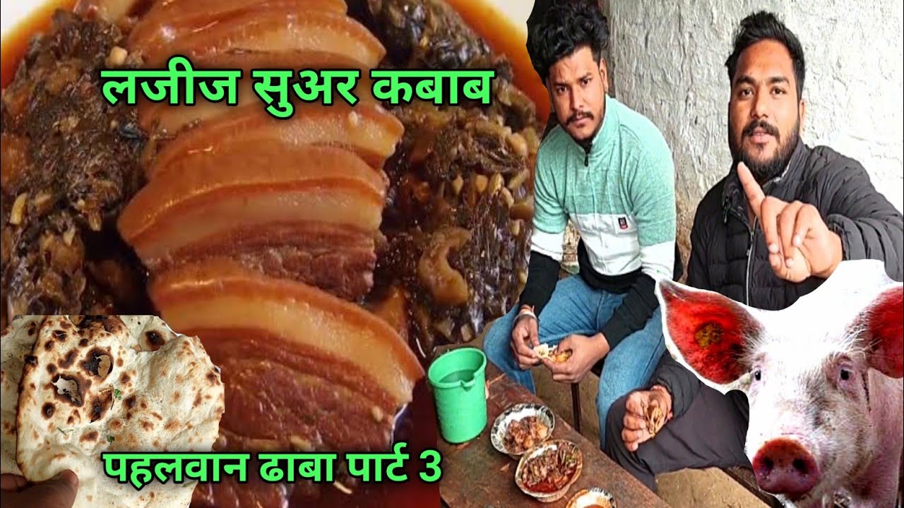 सुअर खाने के फायदे | eating pork kabab & review || pehlwan pork kebab dhaba jhabreda part 3