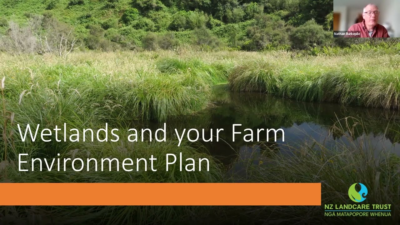 Wetlands and your Farm Environment Plan, Waikato