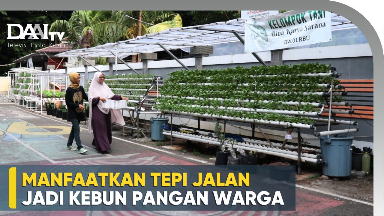 Kebun Pangan Warga di Kampung Iklim RBU Koja