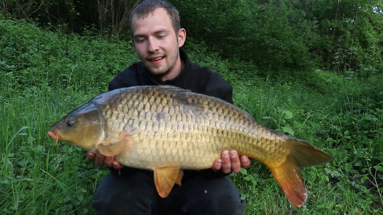 Lov kapra na rieke Váh (Mastodont Baits)