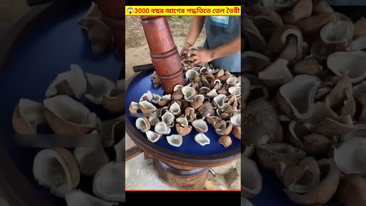 😱 3000 বছরের পুরোনো পদ্ধতিতে নারকেল তেল তৈরী | How Coconut Oil Is Made Bangla