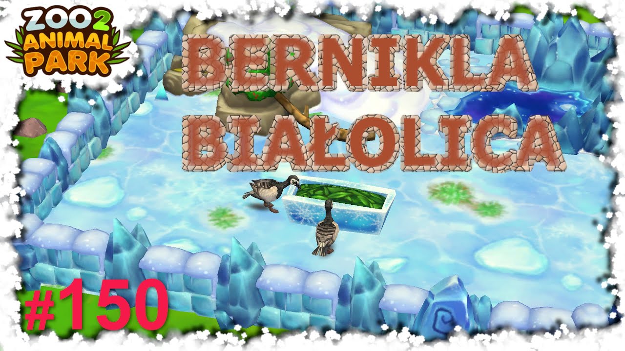🦁 Zoo 2: Animal Park: #150 Bernikla Białolica