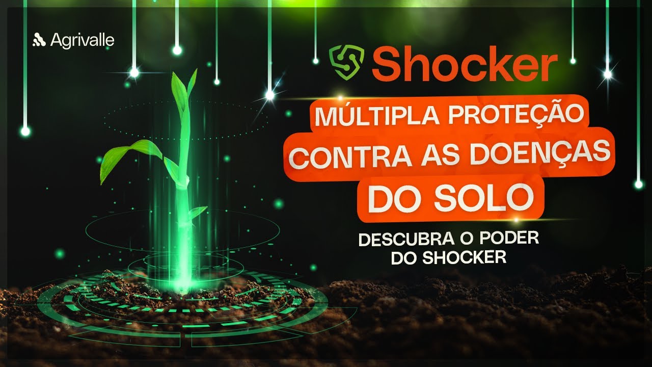 Shocker, o poderoso Biofungicida com eficácia de controle e doenças de solo!