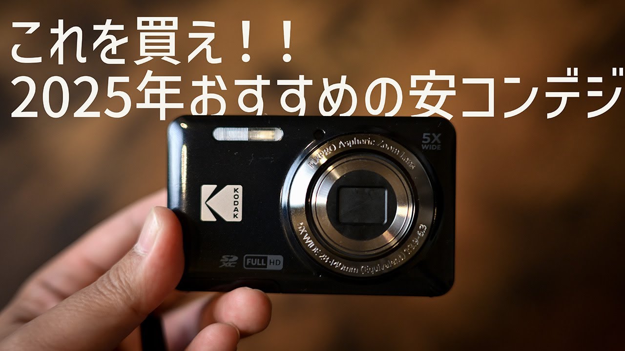 【コンデジ】KODAK PIXPRO FZ55長期レビュー