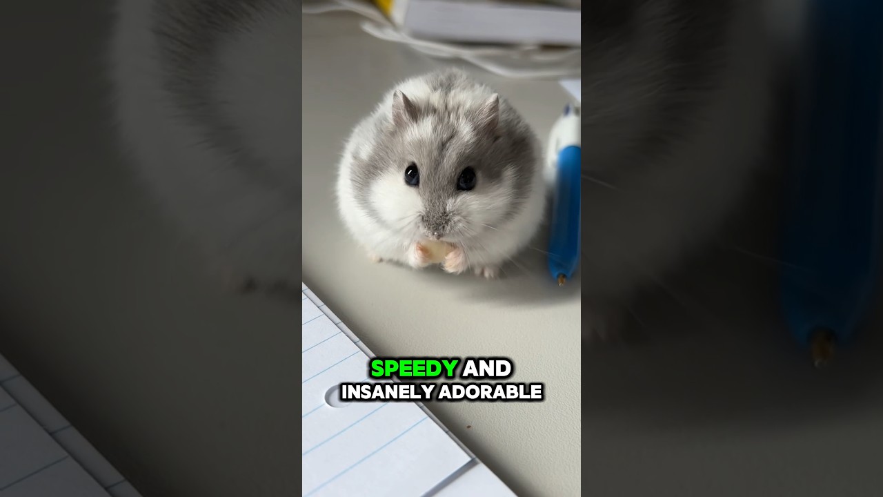 Top 4 Cutest Mini Pets You Can Actually Own!