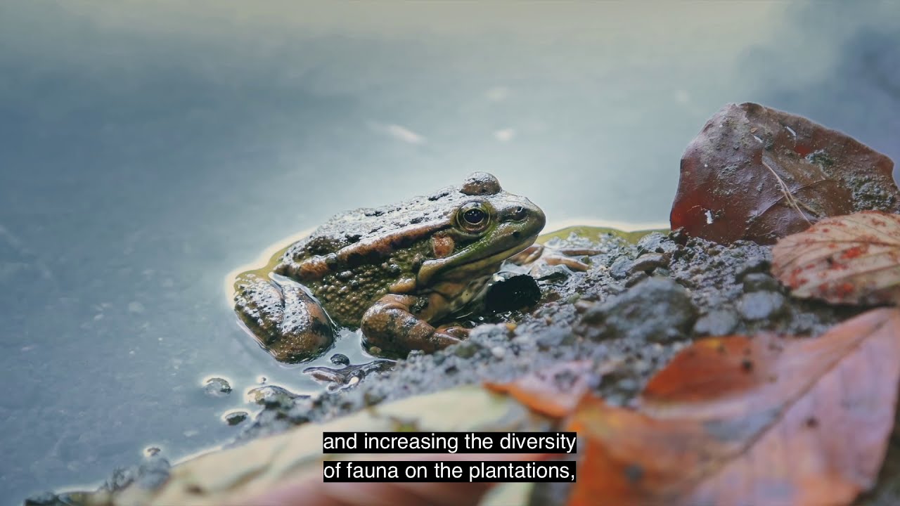 European Tropical Agriculture - Trailer | CrowdFarming