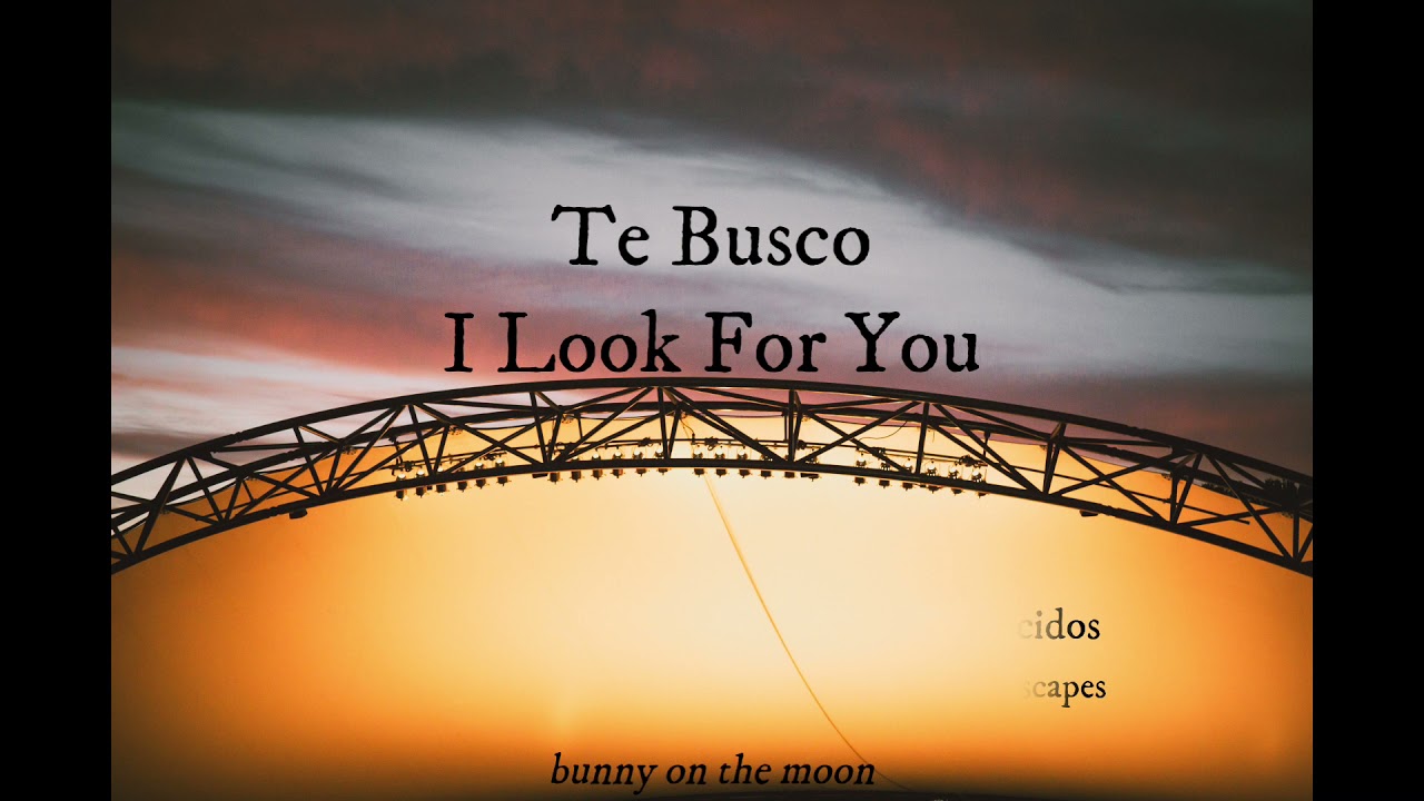 Te Busco - Celia Cruz (Lyrics Esp & Eng)