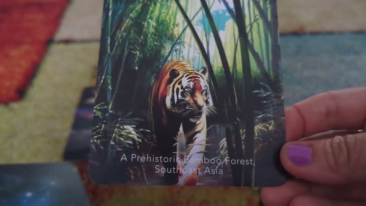 Is it a bird? Is it a tiger? Nope, it's your LOVE STORY! Brought to you by God 😉  #jesus #ready