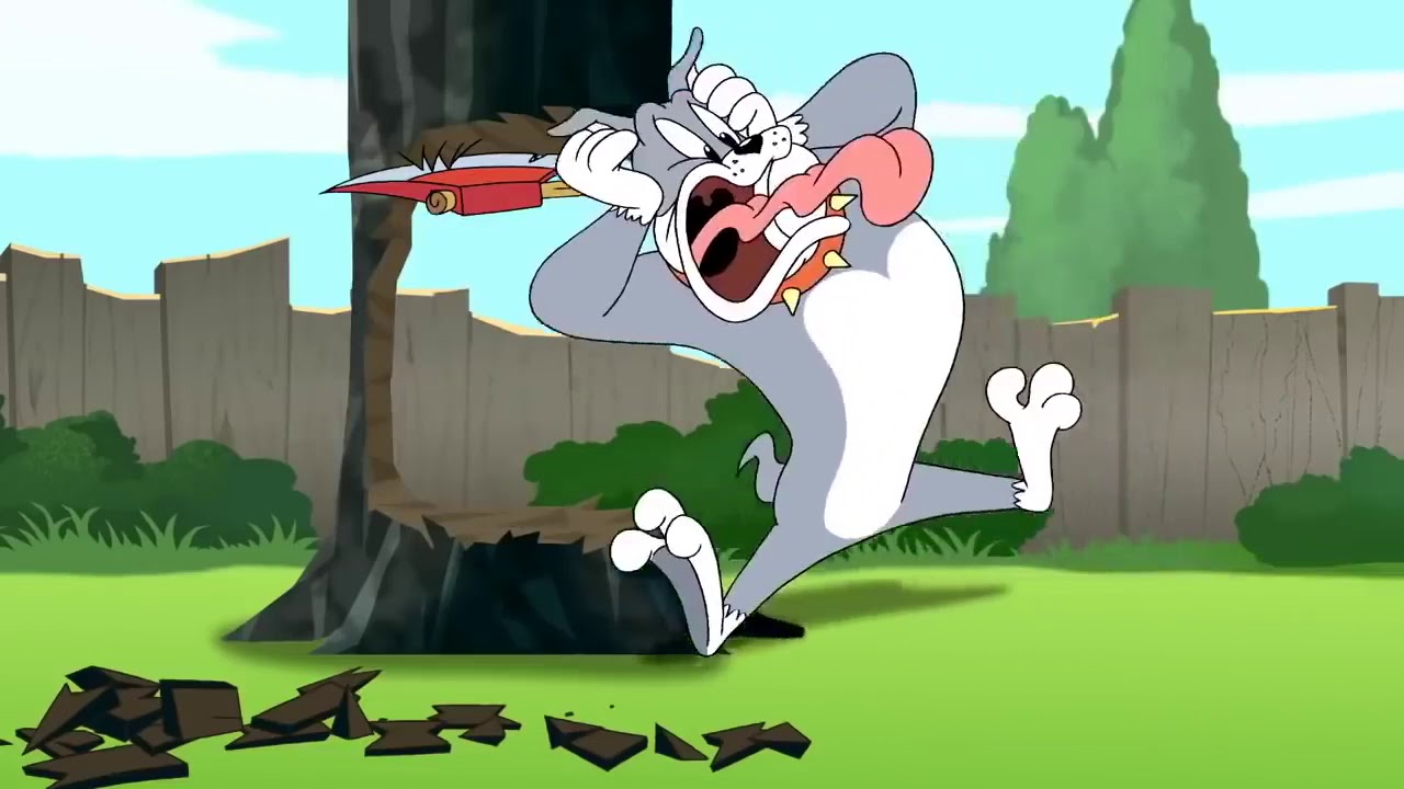 MOMO VIDEO PRANK (TOM AND JERRY)
