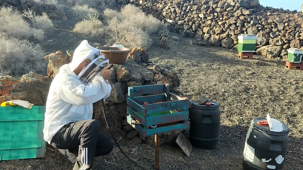 Cambiando los bebederos de mis abejas