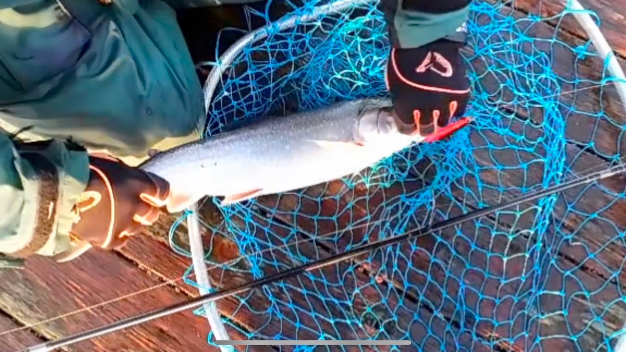Landfiske i Vättern Väldigt kämpigt i Storm Vindar ￼
