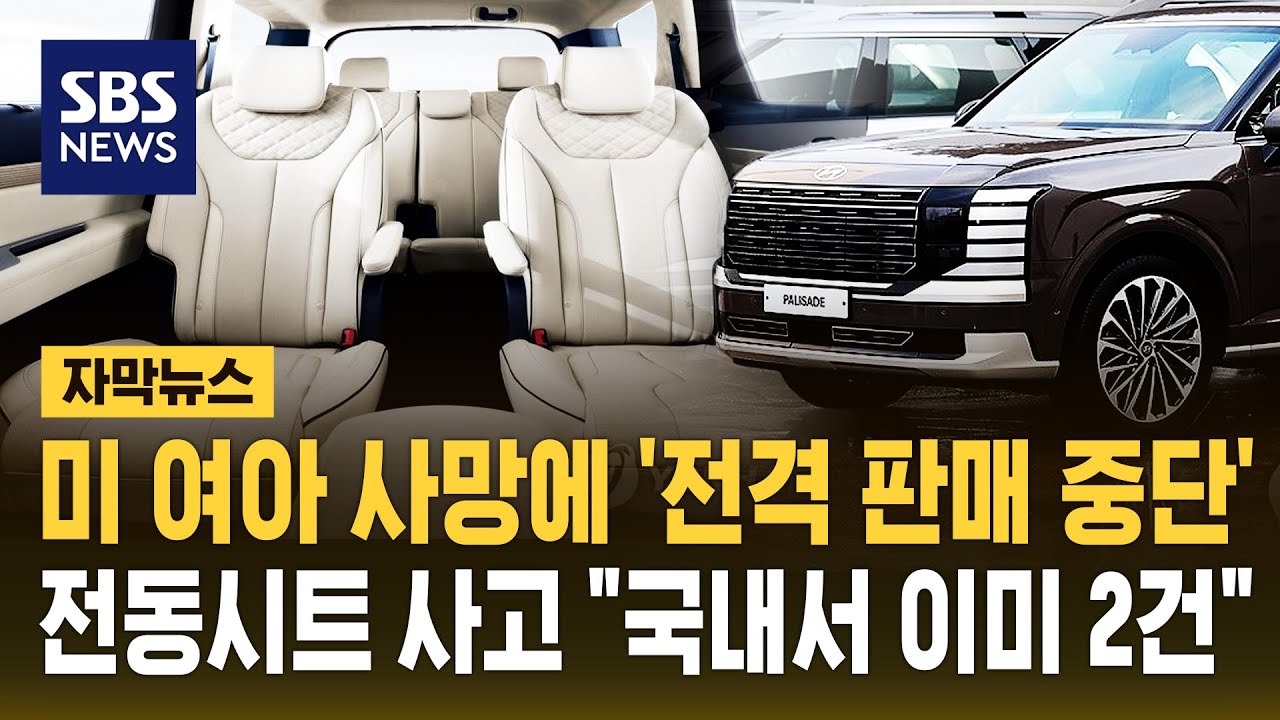 '전동시트 끼임 사고' 현대차 팰리세이드, 국내서도 유사 사례 2건 있었다 (자막뉴스) / SBS