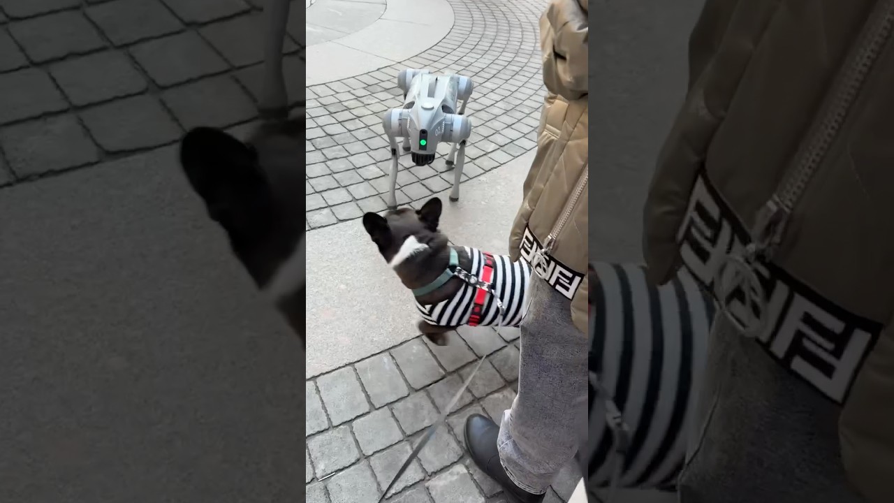 Встретил старого знакомого 😃