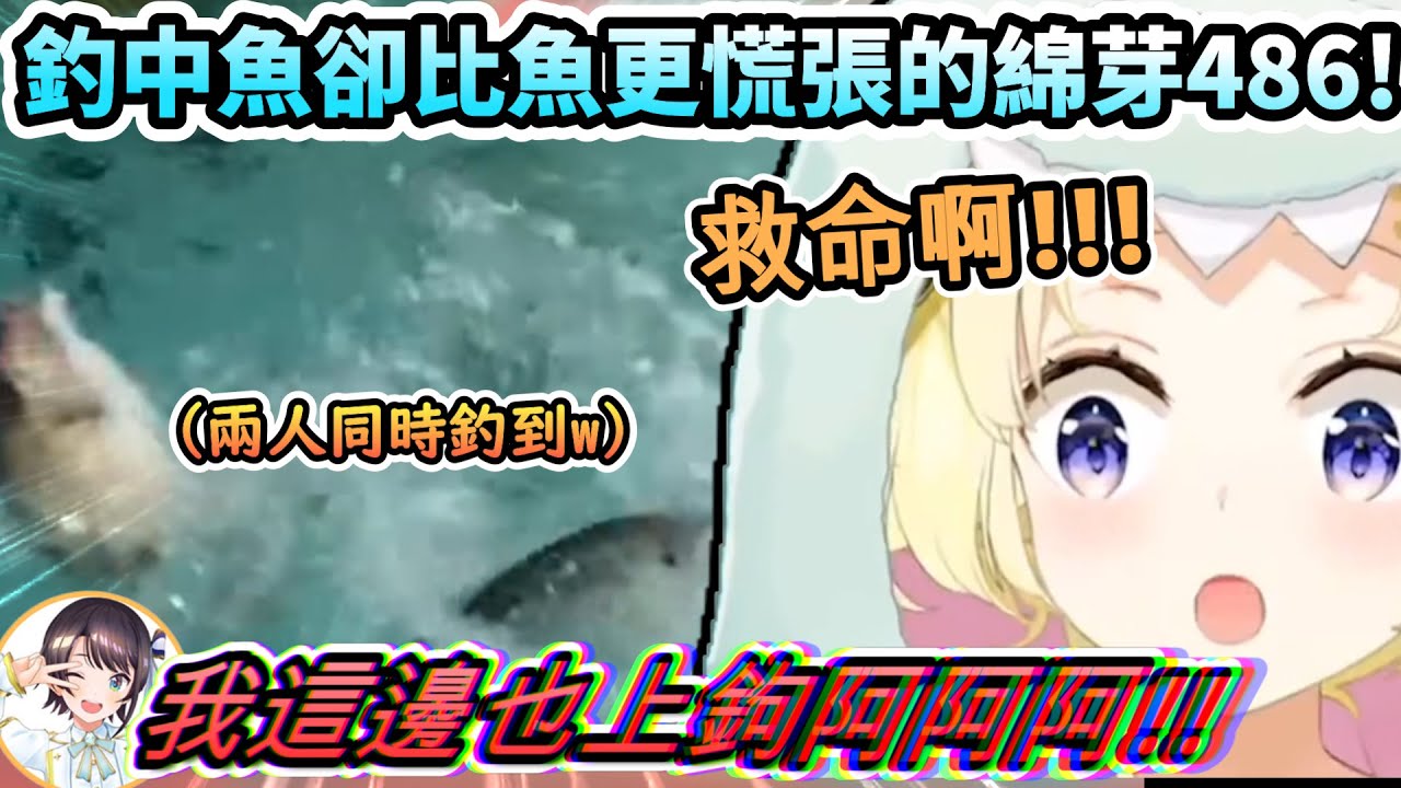 畫面極度混亂的兩隻魚同時咬鉤!?...但比咬到魚鉤的魚還更慌張地486與綿芽!www【角巻わため/大空スバル/ホロライブ】【hololive】【vtuber中文字幕】