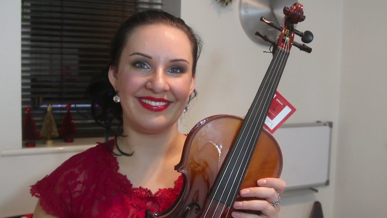 $130 Violin Review! Cecilio CVN 300