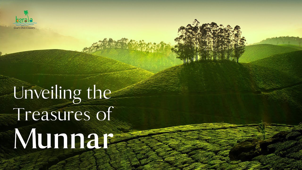 The Ultimate Munnar Experience | Kerala Tourism #DreamDestinations