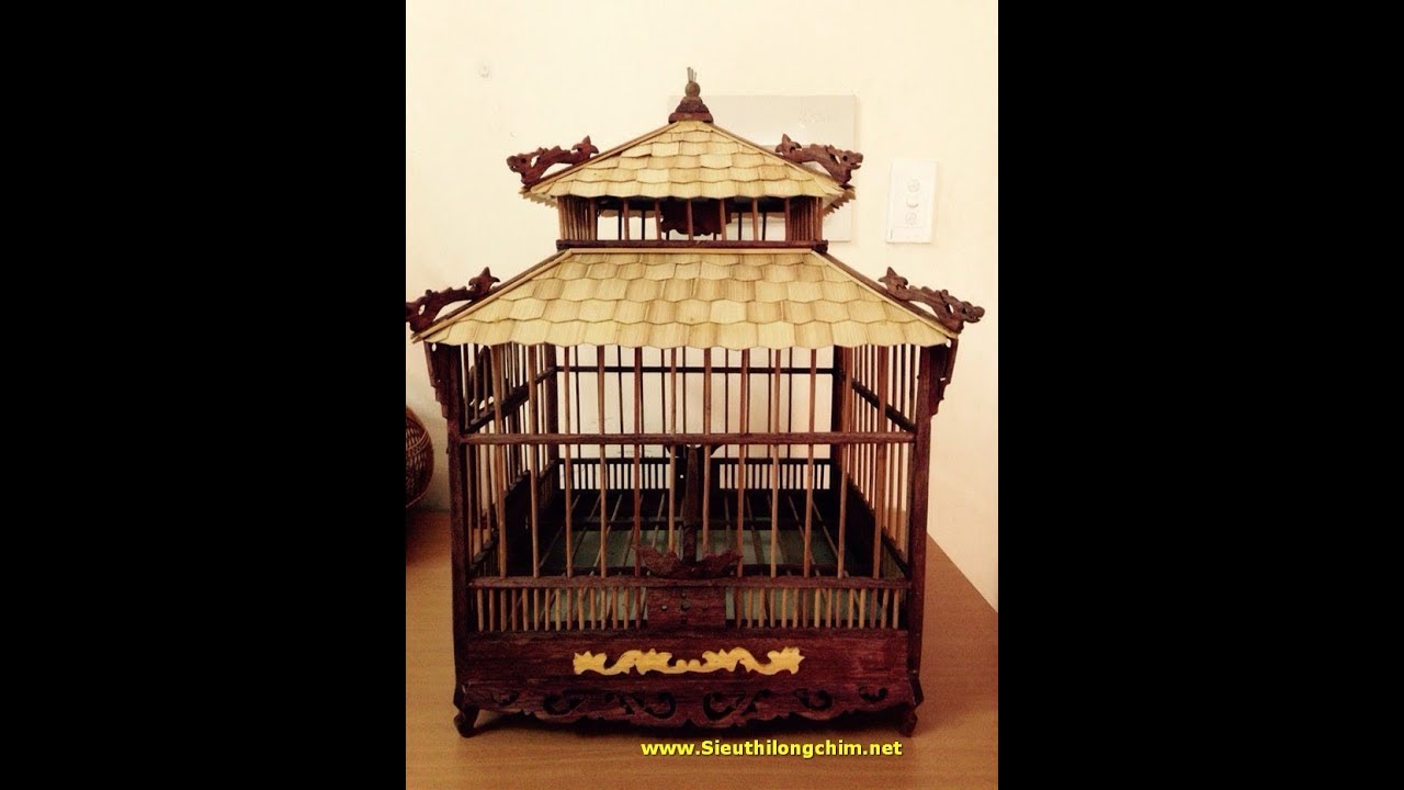 Mẫu Lồng Chim Gần như xo&aacute; sổ tại Si&ecirc;u Thị Lồng Chim