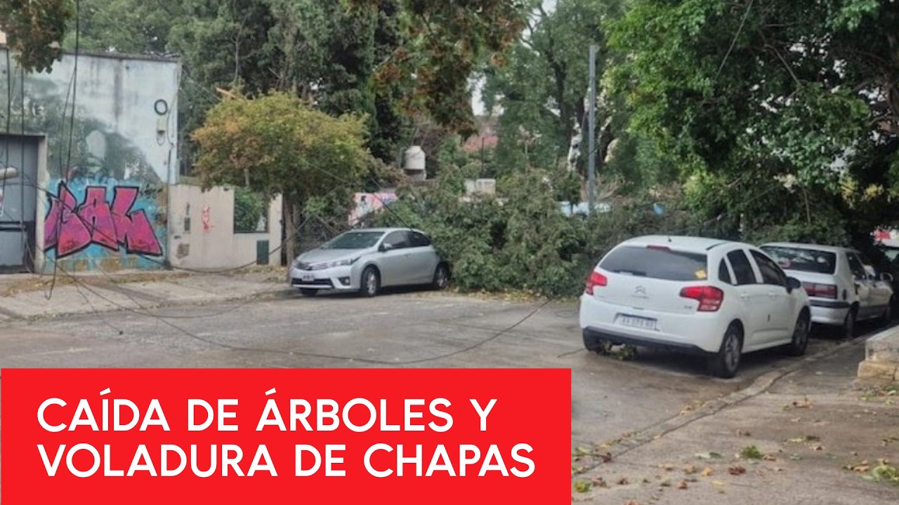 TEMPORAL, fuertes VIENTOS y DESTROZOS en el AMBA