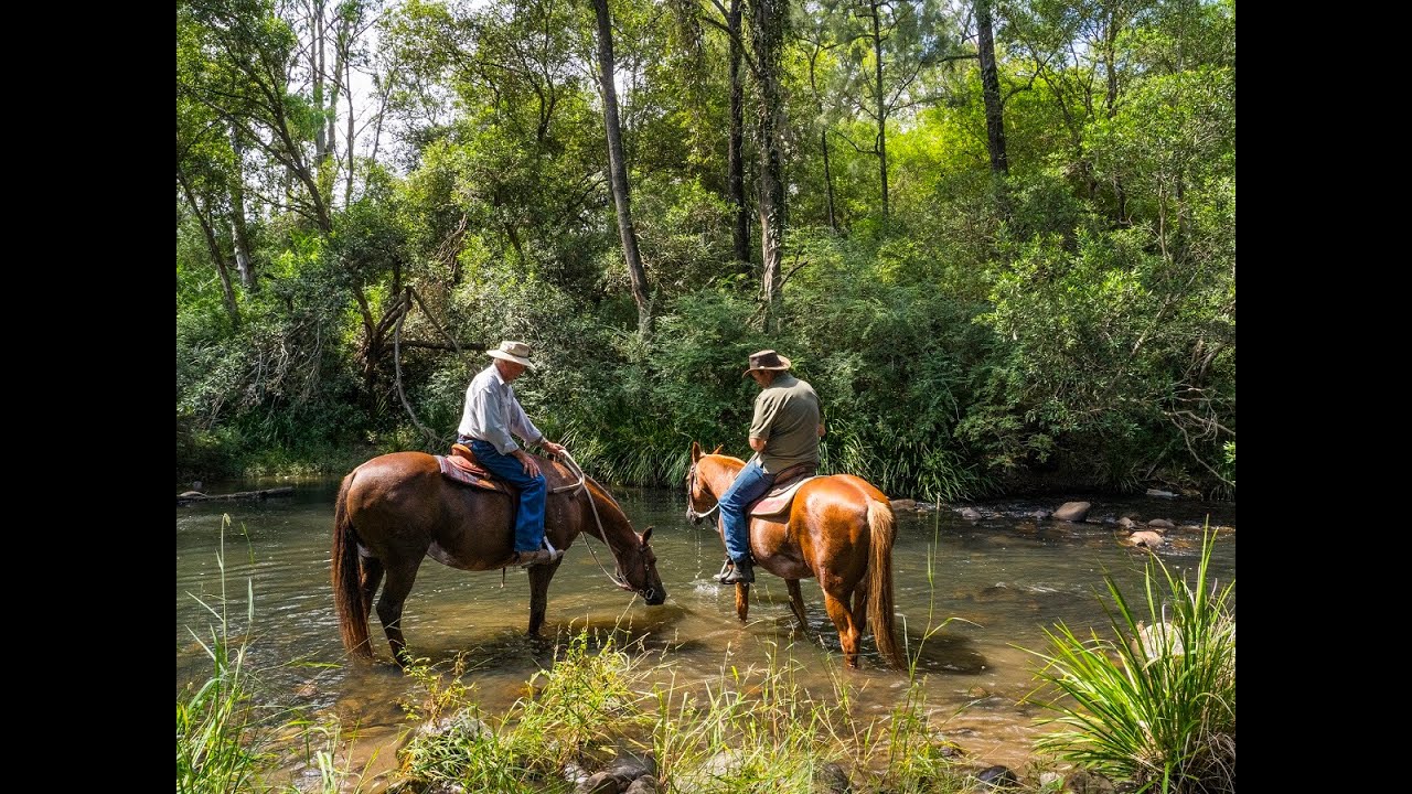 Valley View - Rural Paradise of 115 acres