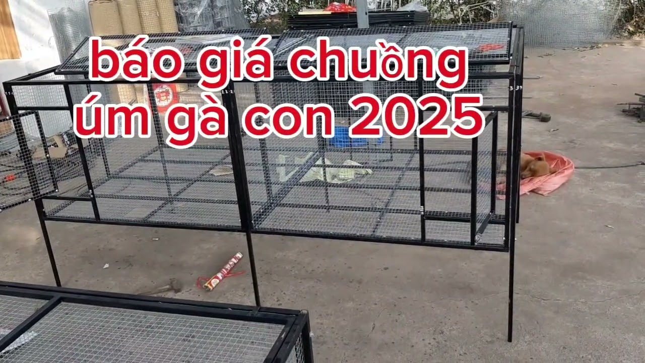 báo giá chuồng úm gà con 2025.