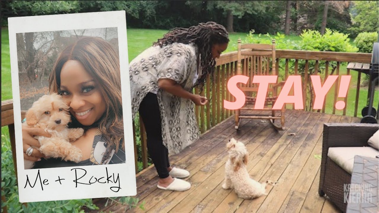 HOW TO TRAIN A DOG! #FAIL | KIERRA SHEARD-KELLY
