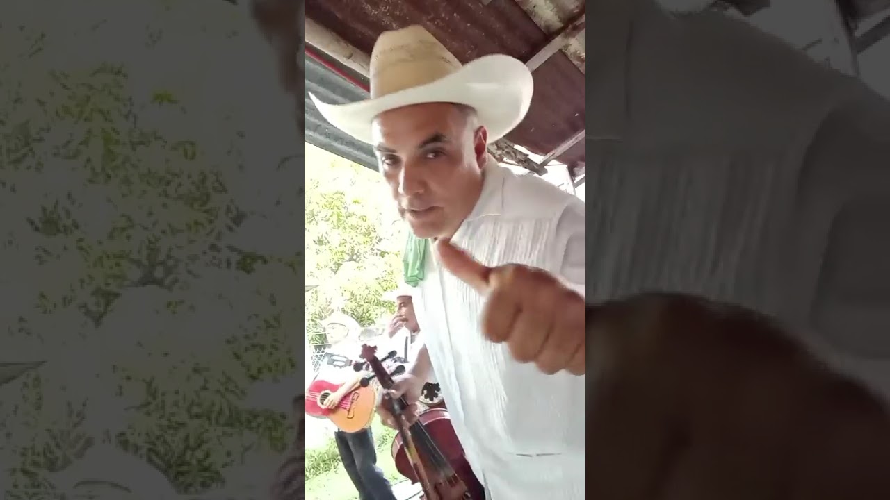 Trío huasteco en cumpleaños Union burocrática de El Mante