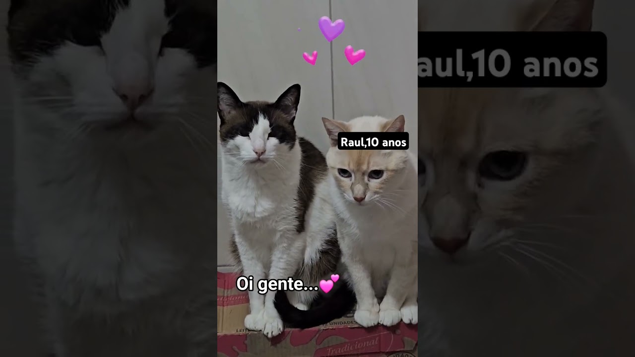 Malú e Raul ❤️  
