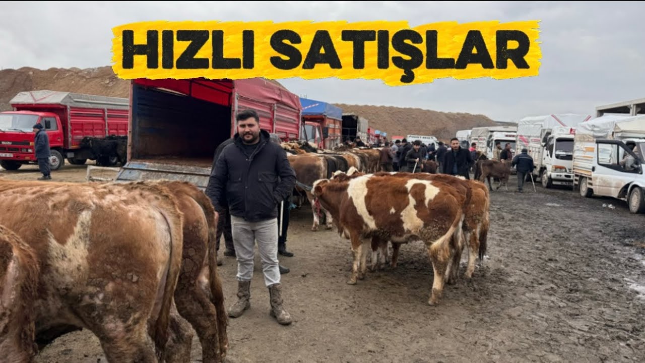 KIRIKKALE HAYVAN PAZARI 24 MART 