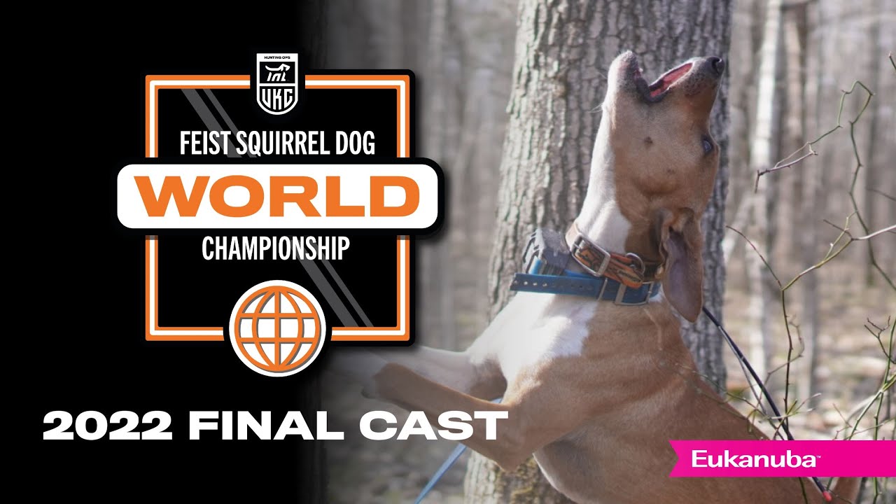 Final Cast - 2022 UKC Feist Squirrel Dog World, with Clayton Stark