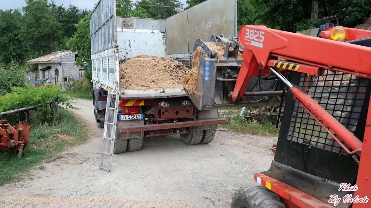 Lavori agricoli Pulizia piazzale con minipala GEHL 3825 Yard cleaning with GEHL 3825 skid steer