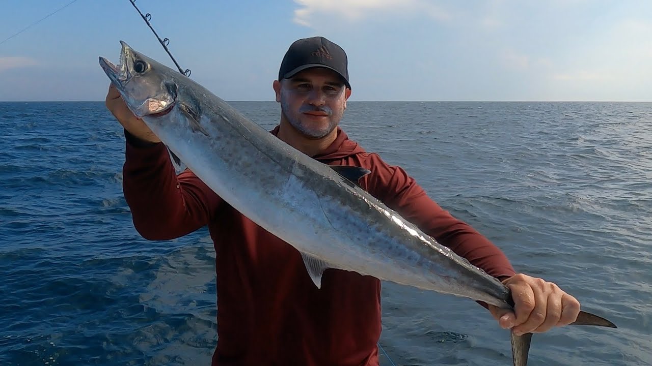 How to troll for Kingfish, St Augustine offshore