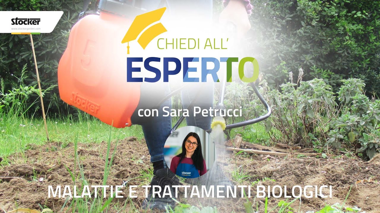 CHIEDI ALL'ESPERTO: TRATTAMENTI E MALATTIE NELL'ORTO