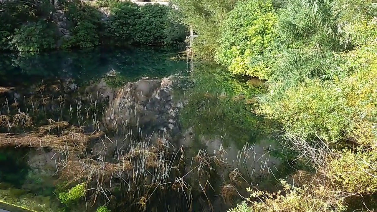 Ombla [ëmbël] , 03.09.2020.