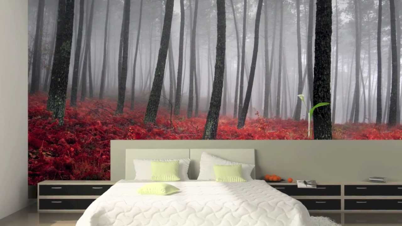 Wall Murals, Wallpaper Murals, Custom Murals - MuralDecal.com - HD