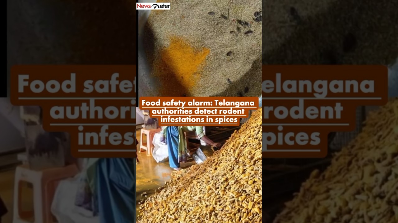 Food safety alarm: Telangana authorities detect rodent infestations in spices