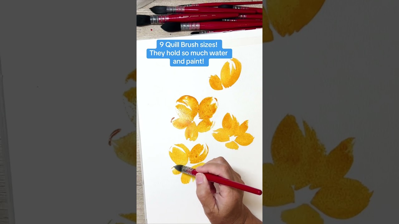 These quill brushes are excellent! They hold a lot of water and 9 sizes for any watercolor need.