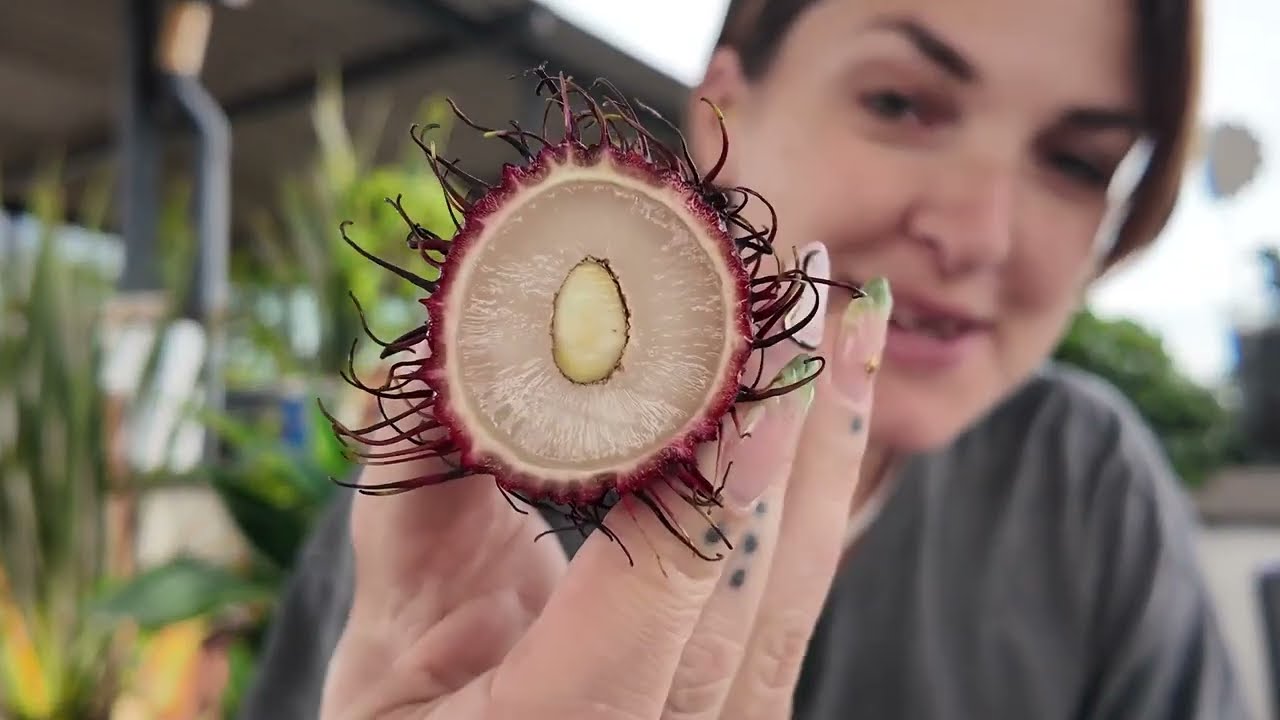 ALIMENTS INSOLITES : spécial Colombie !
