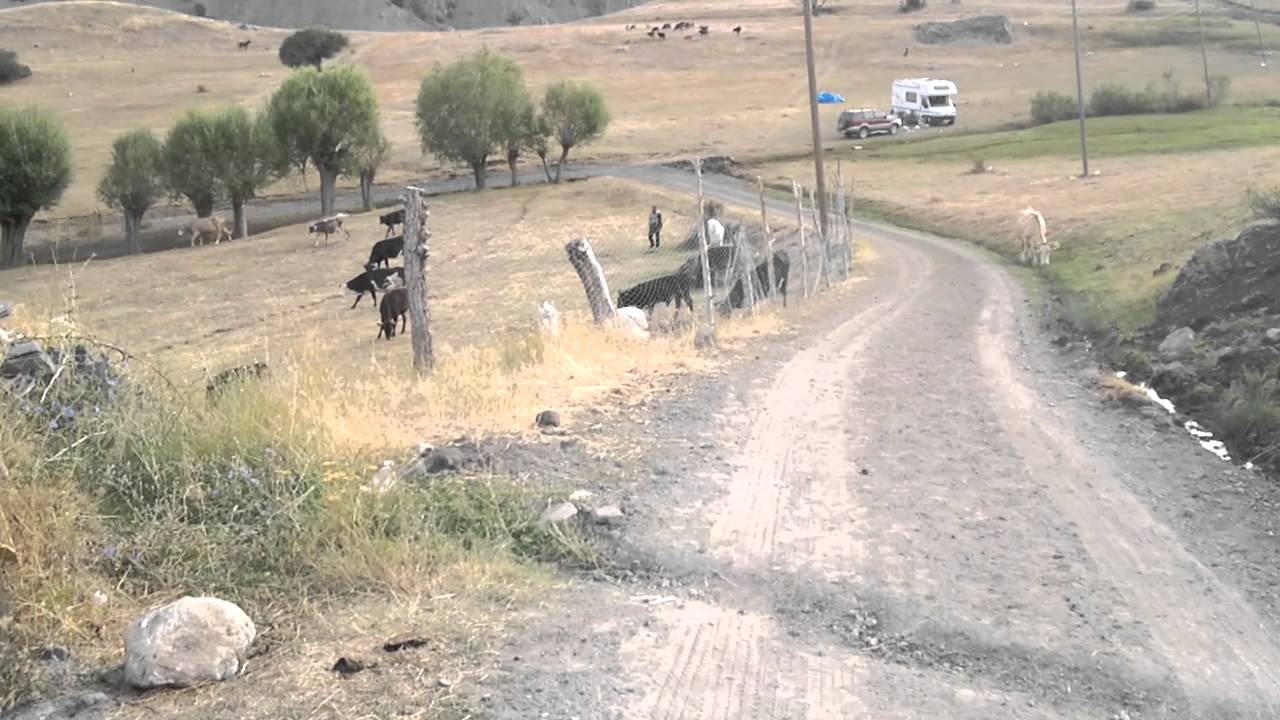 Erzincan sarikaya sedo mezrasi