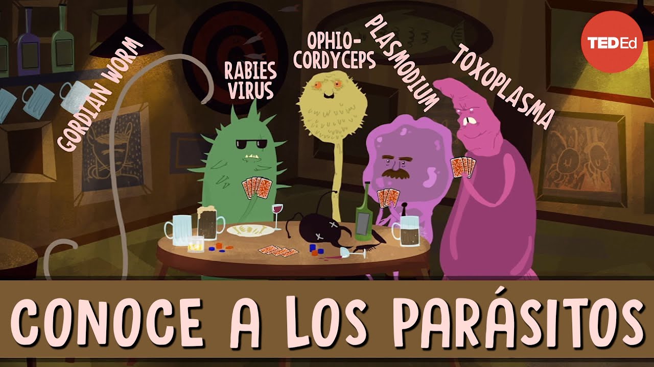 Cómo los parásitos cerebrales cambian el comportamiento de sus huéspedes
