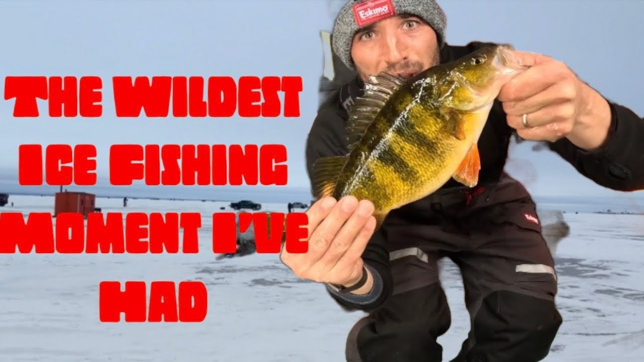 I Got Buck Fever While Ice Fishing!!! 3 Poles, 3 Perch-All At Once!!!