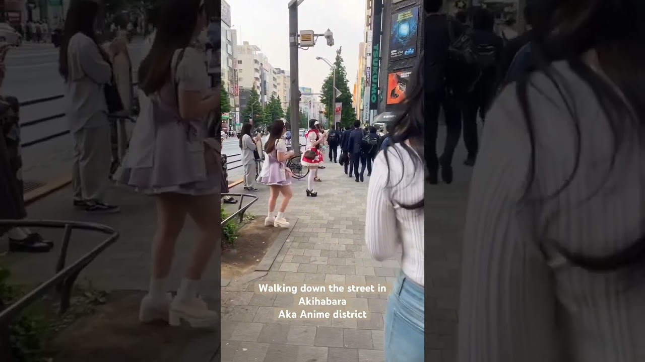 📍Akihabara - Anime district in Japan #anime #akihabara #animefans #tokyo #animegirl