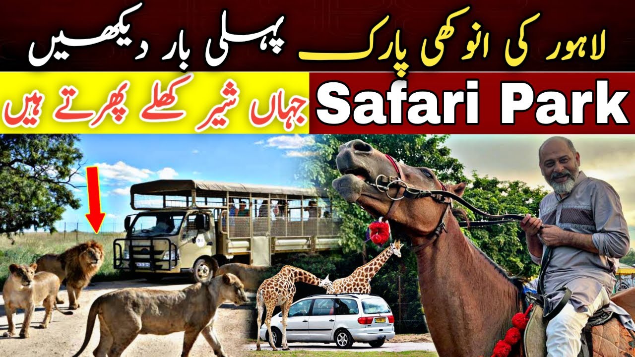 Zoo Safari park Lahore/amazing place for picnic/ lions park/ animals and lions/iftikhar Ahmed Usmani