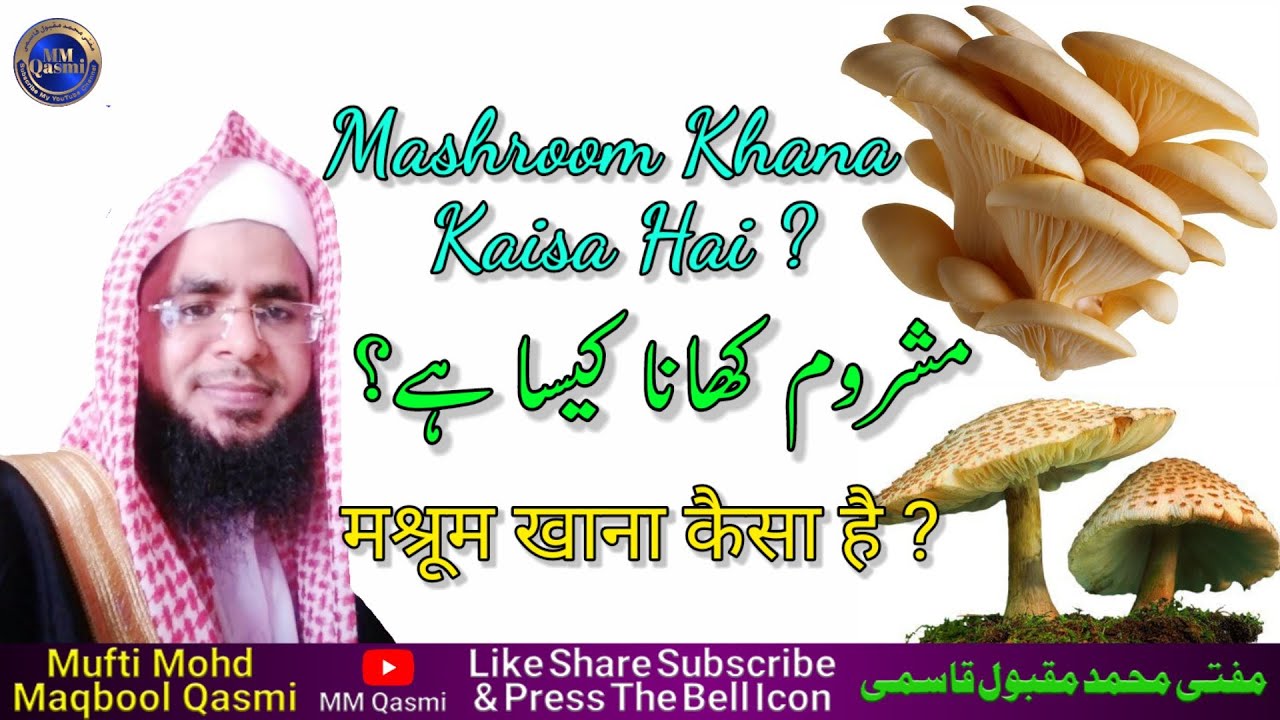 Mashroom Khana Kaisa Hai? || मश्रूम खाना कैसा है? || مشروم کھانا کیسا ہے || Mufti Mohd Maqbool Qasmi