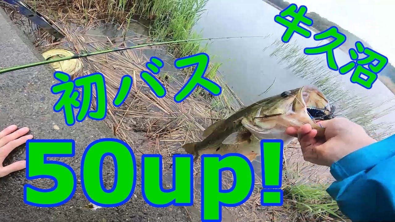やっと釣れた初バスが、牛久沼でフリッピングで50upとか最高かよ・・・