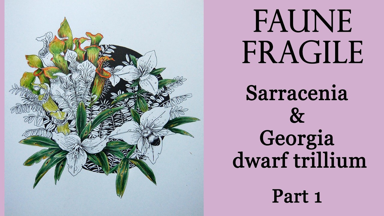 Sarracenia & Georgia dwarf trillium. Part 1 #Coloring in 'Faune fragile' by P.Brun #adultcoloring