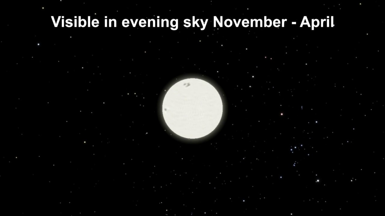 Eyes on the Sky: Super Star Procyon